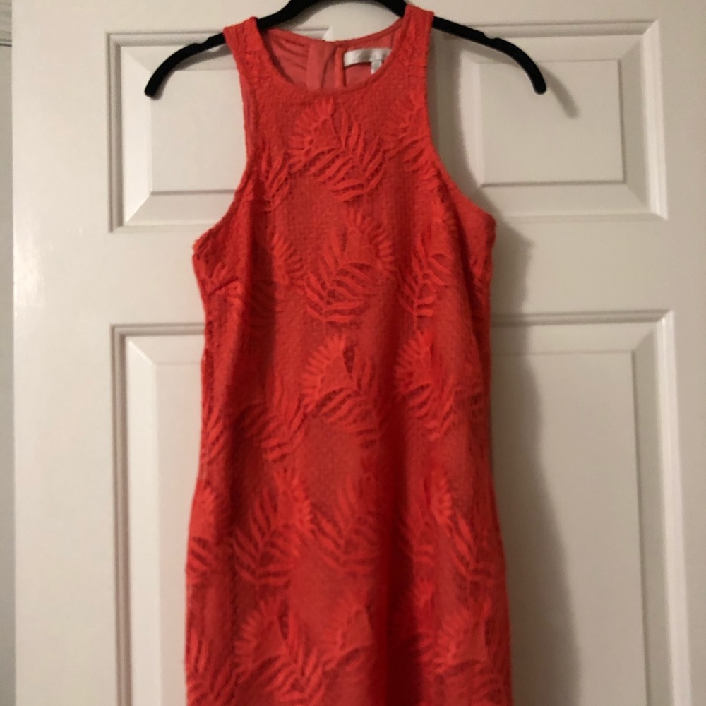 Revolve dress w/ lace overlay and cute hem detail